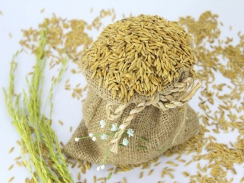 Thị trường lúa gạo ngày 08/02: Gạo nguyên liệu ổn định