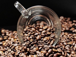 Thị trường cà phê ngày 16/4: Giá giảm nhẹ tại các vùng nguyên liệu trọng điểm