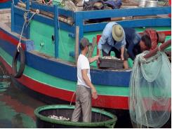 Đầu năm, ngư dân Nghệ An trúng đậm tiền lộc biển