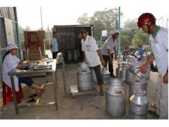 Trảng Bàng (Tây Ninh) Thu Hoạch Hơn 10.000kg Sữa Tươi Mỗi Ngày