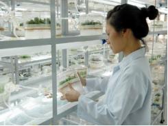 Đồng Nai thành lập Khu Công nghệ cao về sinh học