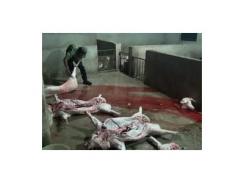 Thành Phố Hồ Chí Minh quy hoạch hoạt động giết mổ gia súc