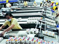 Trứng sạch Ba Huân tiếp cận thị trường Hà Nội