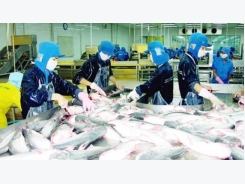 Mỹ cam kết tạo thuận lợi cho cá da trơn Việt Nam