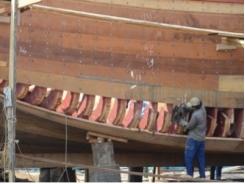 Sản lượng khai thác hải sản Bà Rịa Vũng Tàu đạt 129.247 tấn