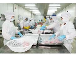Khánh Hòa có 44 doanh nghiệp chế biến thủy sản đạt tiêu chuẩn xuất khẩu