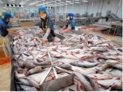 Xuất khẩu là yếu tố then chốt quyết định sản xuất cá tra nửa đầu năm 2015