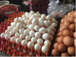Bí ẩn nguồn gốc trứng gà ta giá rẻ bán đầy chợ