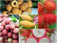 Những trái ngon đất Việt đắt hàng xuất ngoại