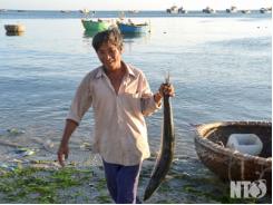 Nghề câu cá biển ở Phước Diêm Ninh Thuận