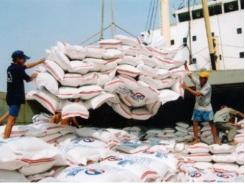 Xuất khẩu gạo tiếp tục khó khăn, thị trường ảm đạm