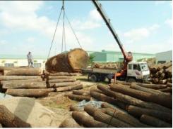 Rủi ro tiềm ẩn từ xuất khẩu gỗ sang Trung Quốc