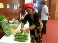 Phụ nữ Dao đỏ thôn Sà Xéng háo hức trồng rau sạch thoát nghèo