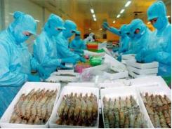 Xuất khẩu thủy sản sang Trung Quốc: Thị trường 20 tỷ đô có dễ ăn?