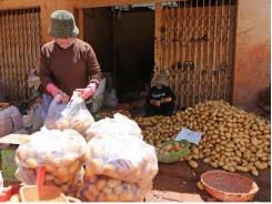 Cấm đưa khoai tây Trung Quốc vào bán tại Chợ nông sản Đà Lạt