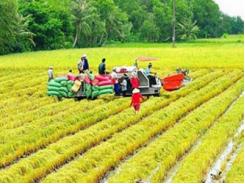 Nông nghiệp Việt Nam phải sớm bỏ cách làm cũ trong thời đại mới