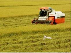 ĐBSCL chuẩn bị đón làn sóng đầu tư Nhật vào nông nghiệp