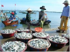 Năm 2014 Là Năm Thắng Lợi Của Ngành Thủy Sản Việt Nam