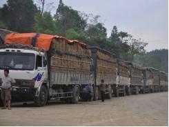 Xuất khẩu dưa hấu sang Trung Quốc đến hẹn lại ách tắc