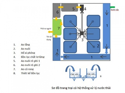 Thiết kế hệ thống xử lý nước thải trong hệ thống trang trại nuôi tôm