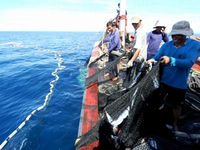 Hội Nghề cá quyết định cấm đánh bắt cá của Trung Quốc là vô giá trị
