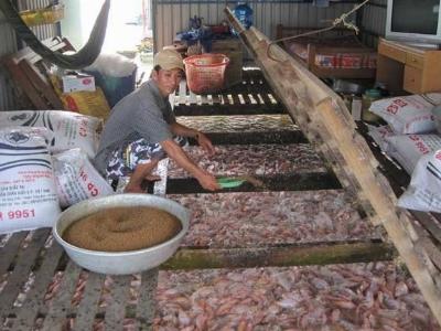 Đưa cá rô phi thành mặt hàng thủy sản xuất khẩu chủ lực