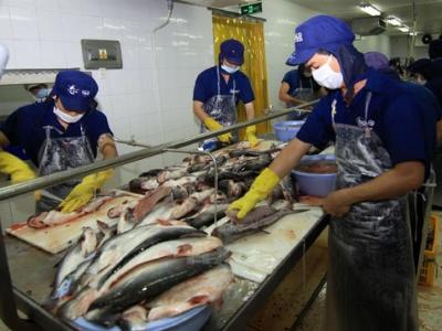 Thượng viện Mỹ bật đèn xanh cho cá tra Việt Nam