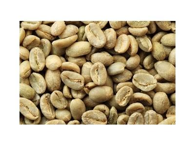 Giá cà phê trong nước ngày 15/09/2015 tăng 700 ngàn đồng/tấn