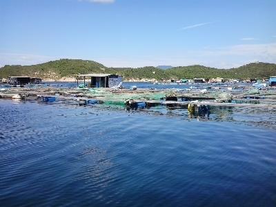 Quy hoạch nuôi trồng thủy sản vùng ven biển ĐBSCL