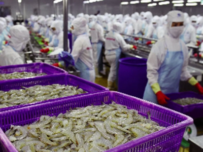 Xuất khẩu hải sản sang EU giảm mạnh