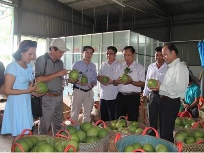 Trung tâm Xúc tiến thương mại nông nghiệp Hà Nội đi đầu xúc tiến thương mại