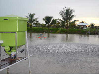 Thử nghiệm công nghệ mới vì sự phát triển bền vững của ngành nuôi trồng thủy sản Việt Nam