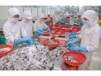 Xuất khẩu tôm Việt Nam tiếp tục giảm