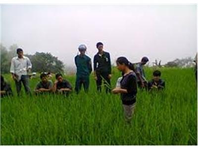 Hơn 300 Nông Dân Tham Gia Lớp Học Đồng Ruộng Đầu Tiên