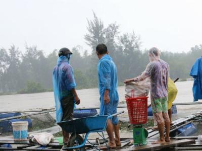 Quảng Nam: Dân nuôi cá lồng bè lao đao vì hồ Phú Ninh xả lũ