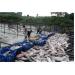 Đánh Bắt Cá Ở Hồ Ayun Hạ