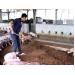 Anh Nguyễn Văn Triết thành công với mô hình kinh tế vườn và chăn nuôi heo trên đệm lót sinh thái