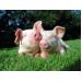 Giảm lượng prôtêin trong khẩu phần ăn để lợn có đường tiêu hoá khoẻ mạnh hơn