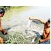 Đồng Bằng Sông Cửu Long gỡ khó xuất khẩu nông thủy sản