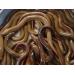 Hiệu quả mô hình nuôi lươn đồng thương phẩm trong bể bạt