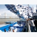 Xuất khẩu gạo Japonica bất ngờ tăng vọt 300%