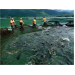 Định Hướng Phát Triển Cá Nước Lạnh Việt Nam Đến Năm 2020
