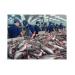 Chính phủ sửa đổi quy định nuôi, chế biến và xuất khẩu cá tra