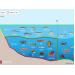 Đề nghị lập bản đồ vùng biển cấm khai thác hải sản tầng đáy