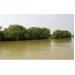 Bình Định Sẽ Triển Mô Hình Khuyến Ngư “Nuôi Hàu Thương Phẩm” Tại Khu Vực Sinh Thái Cồn Chim