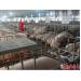 Đầu tư hơn 100 tỷ đồng chăn nuôi lợn sinh sản