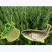 Bột lá hương thảo - Cải thiện tăng trưởng, giảm stress cho cá chép