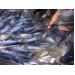 Xuất khẩu cá tra sang Trung Quốc tăng mạnh