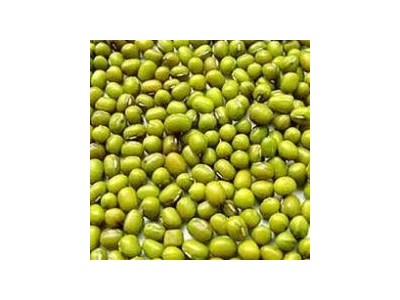 Kỹ Thuật Trồng Cây Đậu Xanh