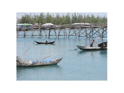 Kỹ Thuật Sản Xuất Giống Sò Huyết
